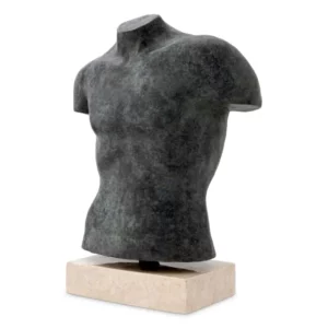 117007 0 1 1 TORSO ARISTO