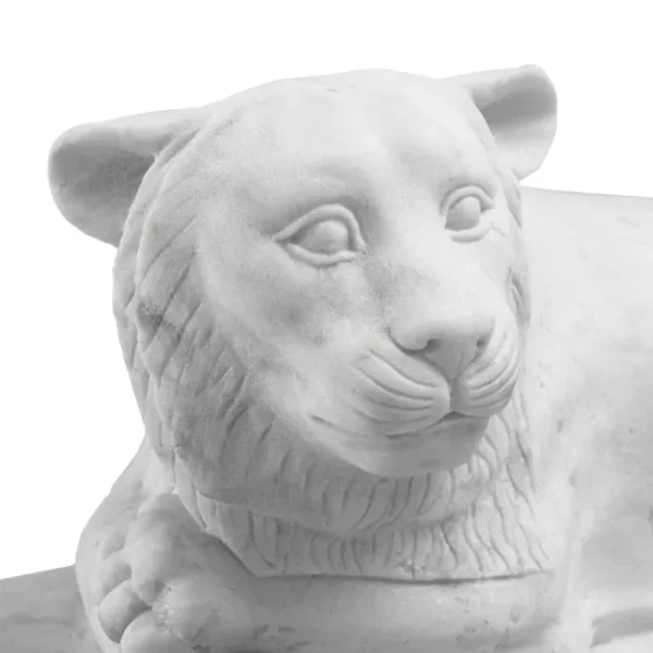 TM0058 4 1 1LION 4